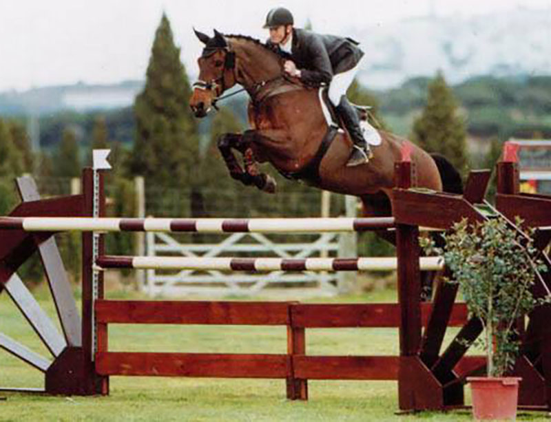 Jadorijk - Dutch Sport Horse